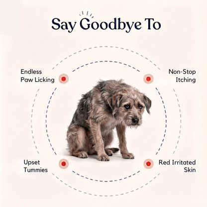 Reviva Probiotic Chews