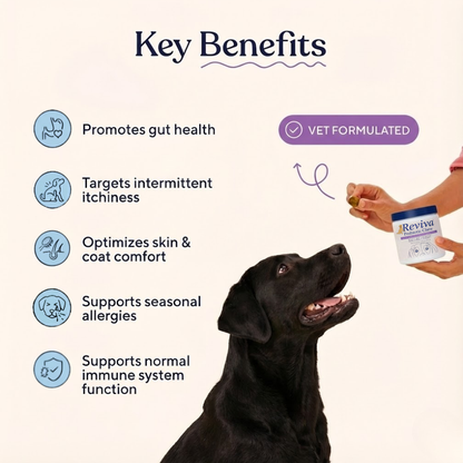 Reviva Probiotic Chews