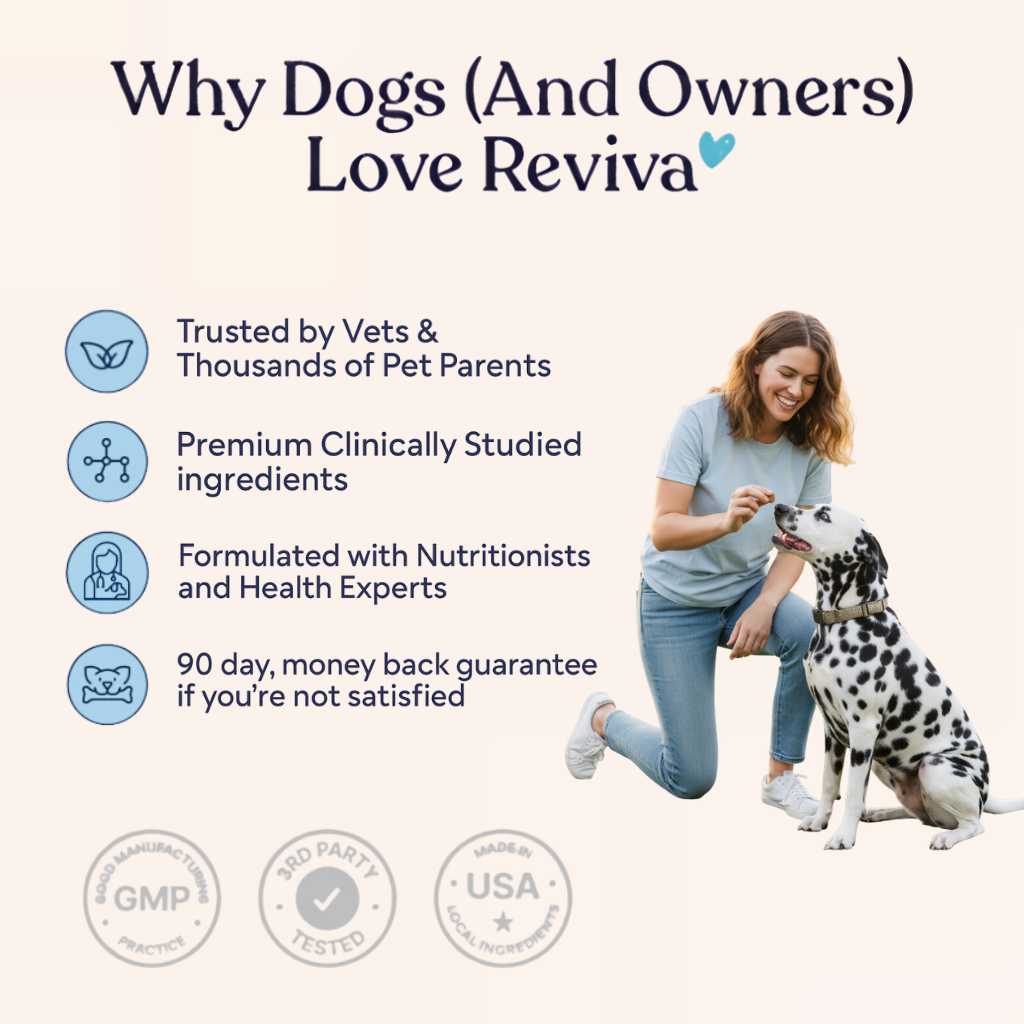 Reviva Probiotic Chews