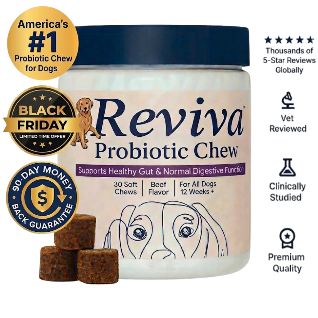 Reviva Probiotic Chews