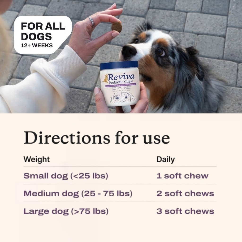 Reviva Probiotic Chews